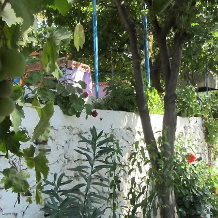 Ali Baba Patara
